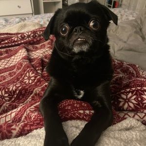 Meet your Posher, Christa